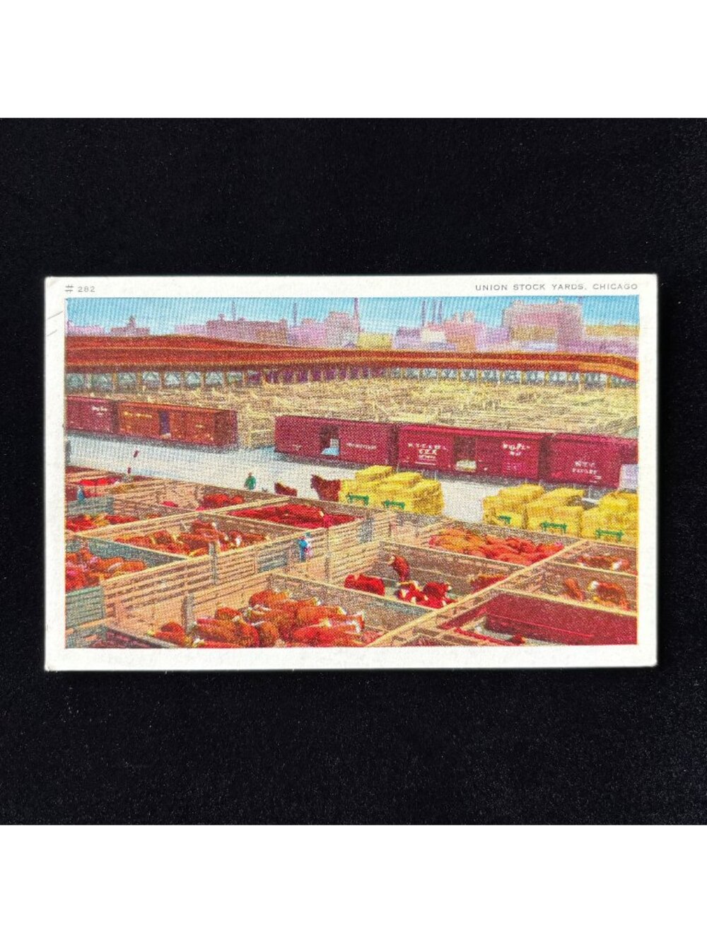 Vintage Postcard 1900s Union Stock Yards Chicago Aerodist Art Views Cows City